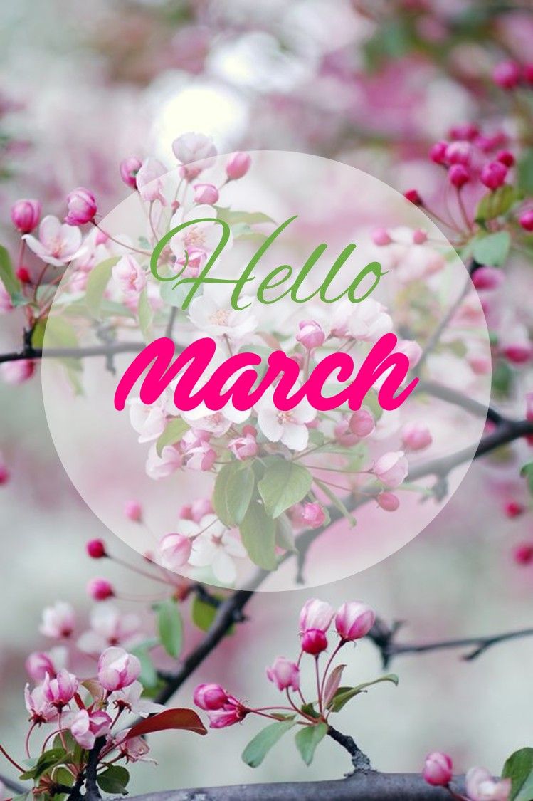 Hello March Wallpaper