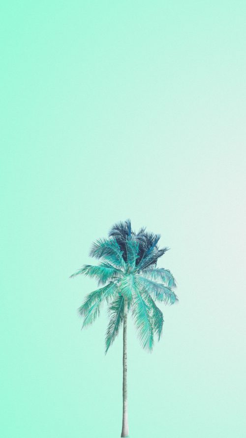 Background Mint Green Wallpaper