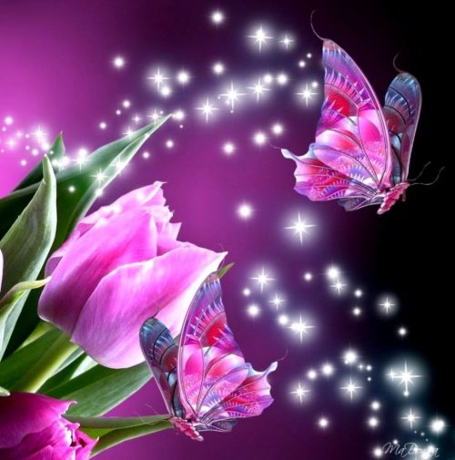 Background Butterfly Wallpaper