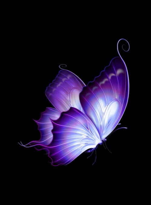 Background Butterfly Wallpaper