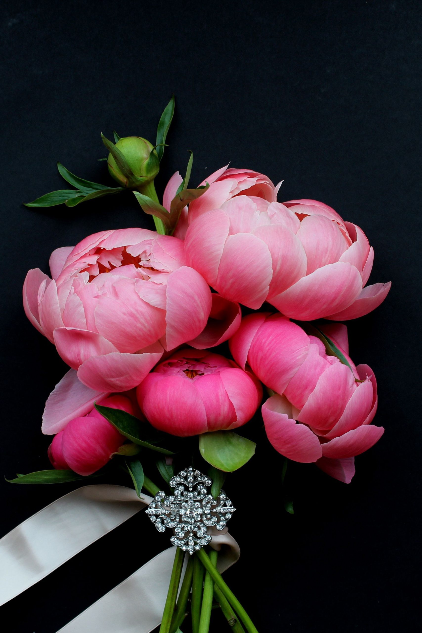 Background Peony Wallpaper