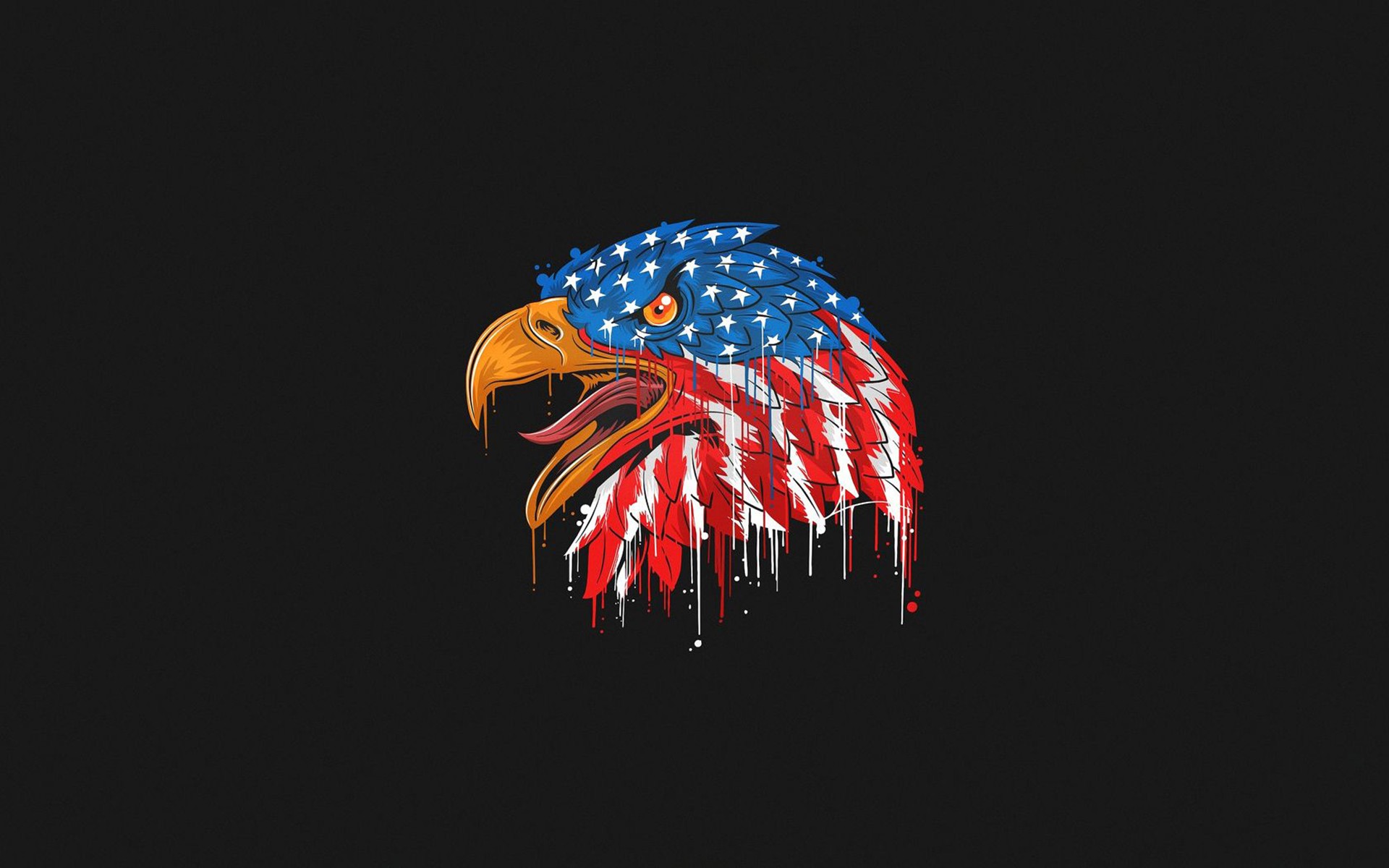 American Flag Wallpaper