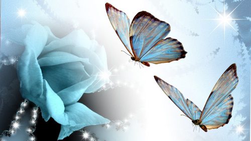 Desktop Butterfly Wallpaper