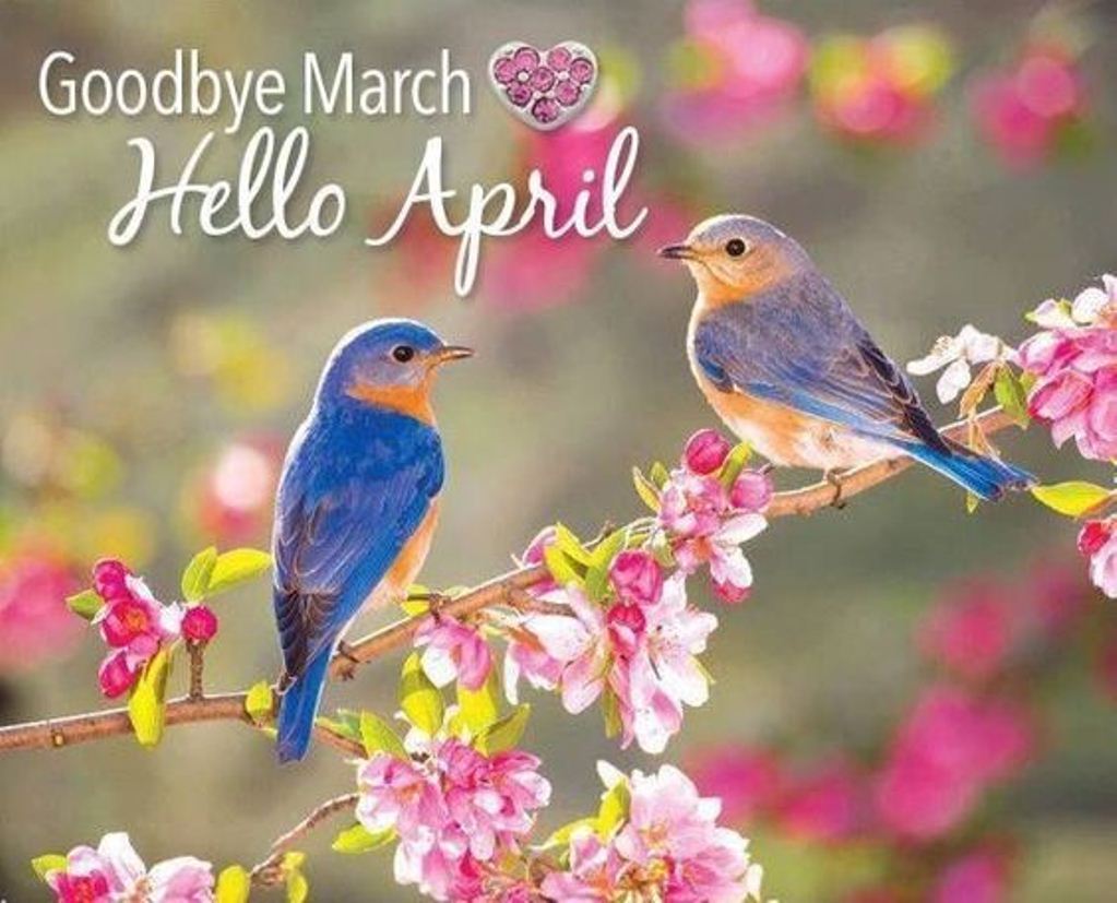 Background Hello April Wallpaper