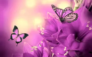 Background Spring Wallpaper