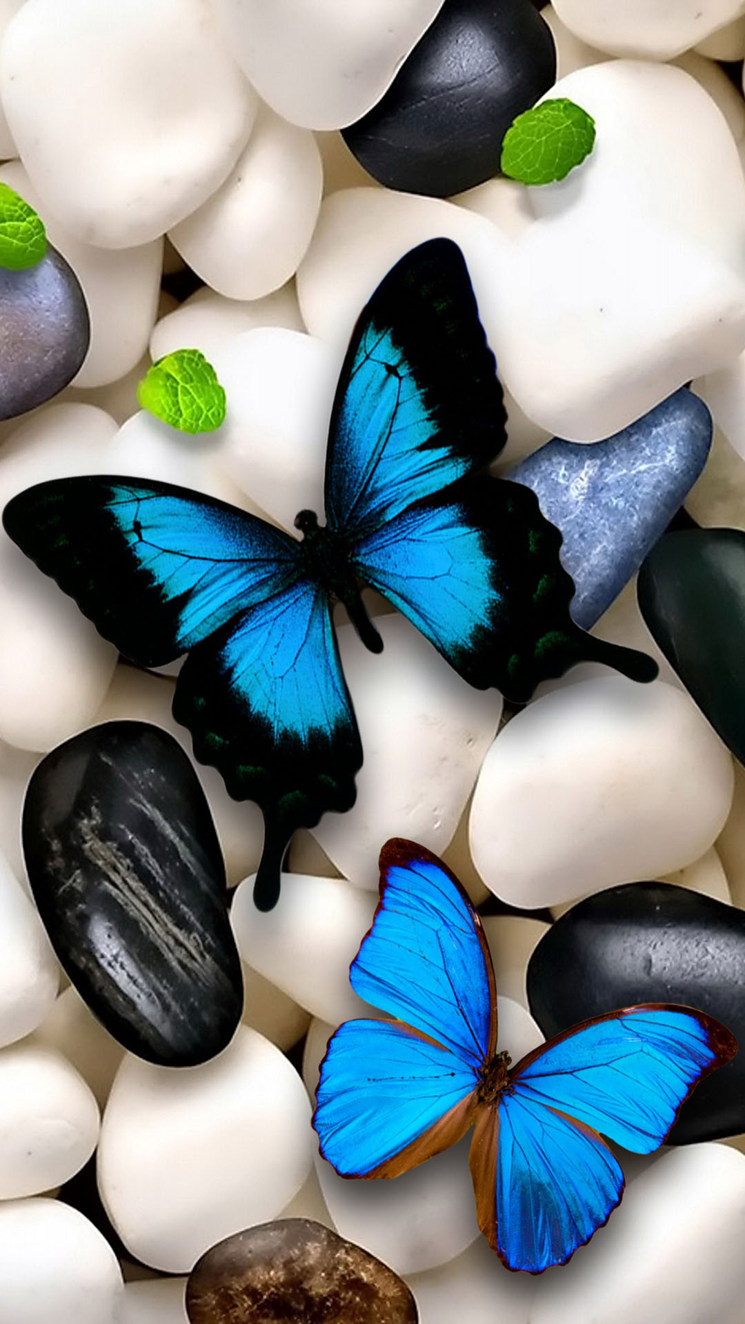 Background Butterfly Wallpaper