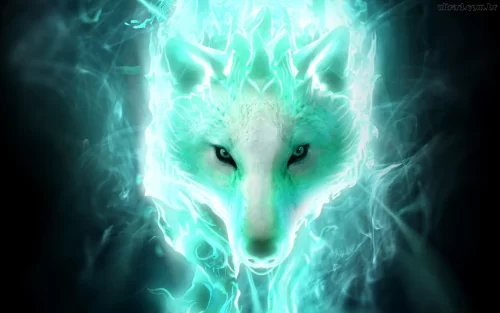 Background Wolf Wallpaper