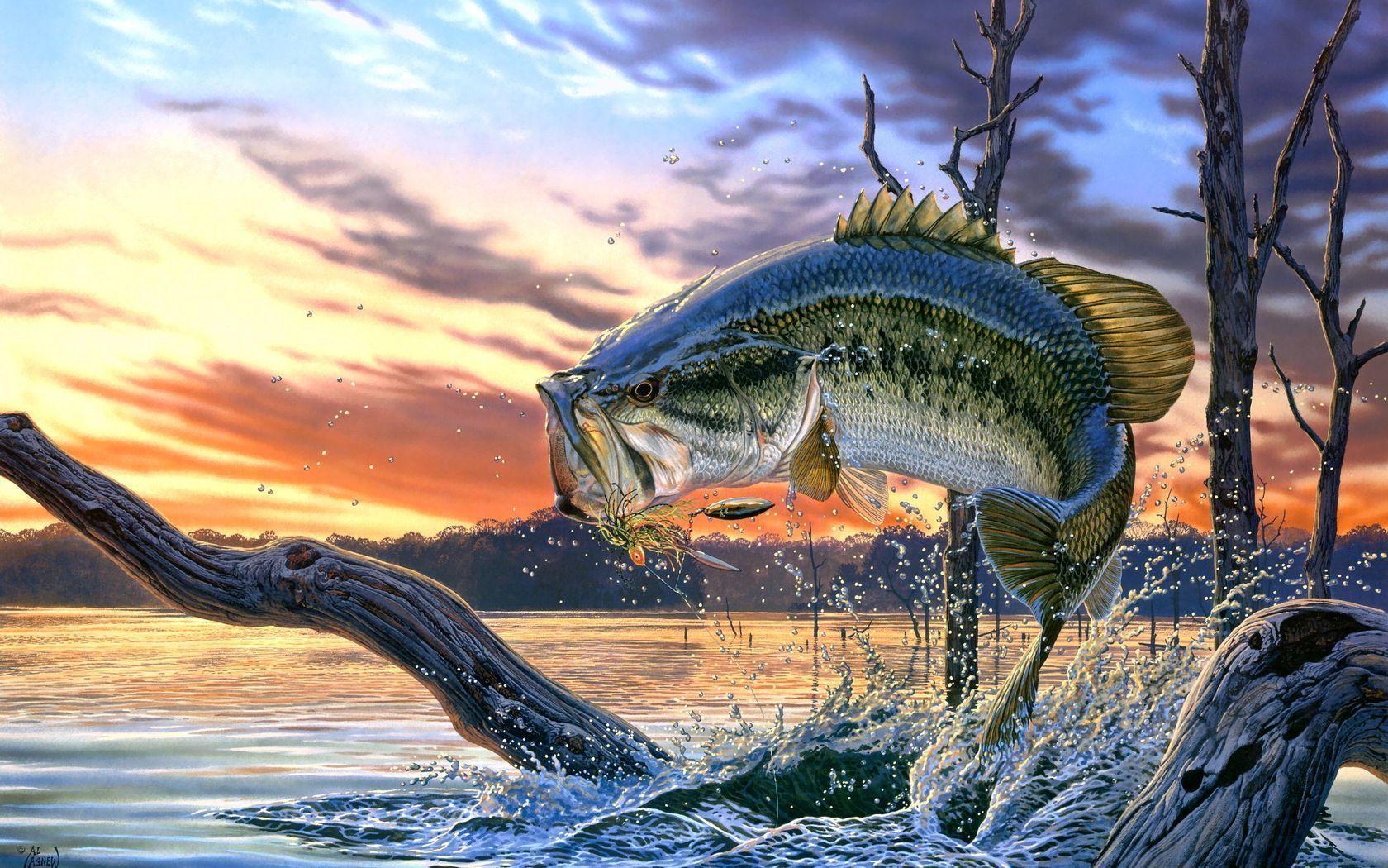 Fishing Wallpaper