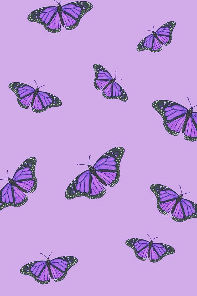 Rurple Aesthetic Wallpaper