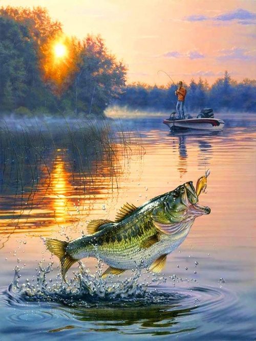 Fishing Wallpaper