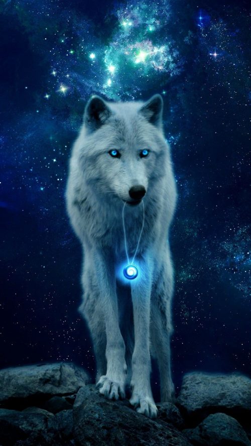 Background Wolf Wallpaper