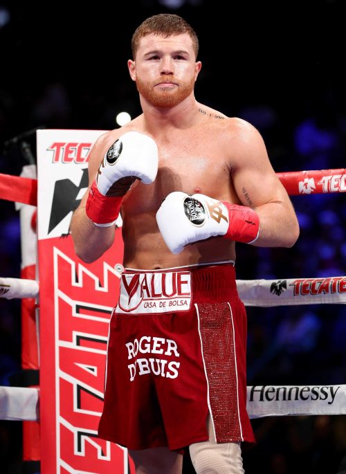 Canelo Wallpaper