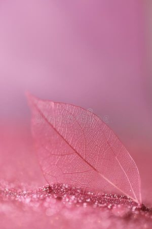 Background Light Pink Wallpaper