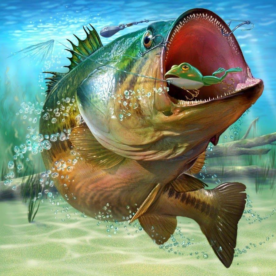 Fishing Wallpaper