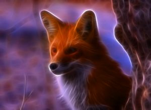 Background Fox Wallpaper