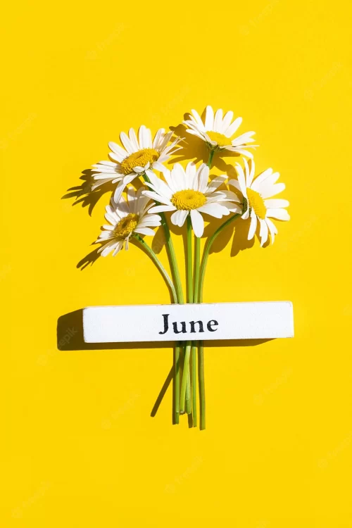 Hello June Wallpaper