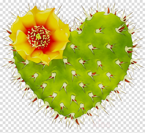 Background Cactus Wallpaper