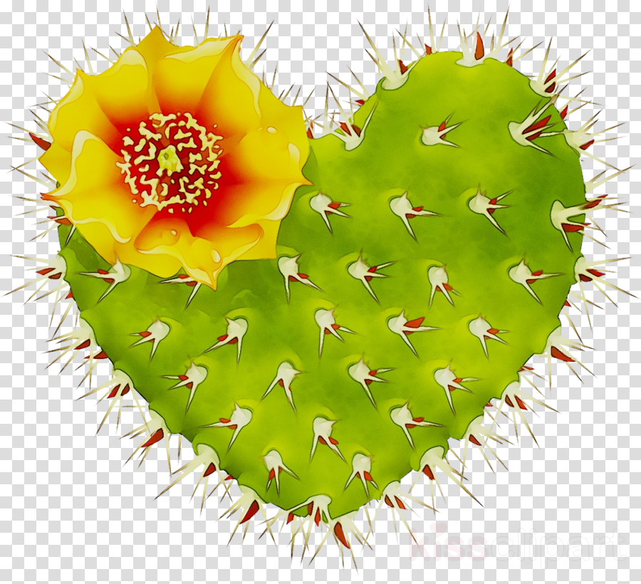 Background Cactus Wallpaper