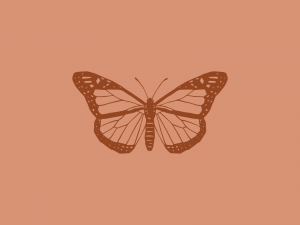 Brown Aesthetic Wallpaper