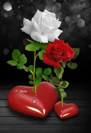 Background Rose Wallpaper