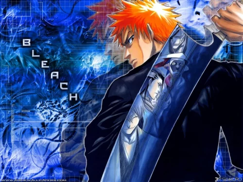 Background Bleach Wallpaper