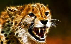 Cheetah Wallpaper Desktop