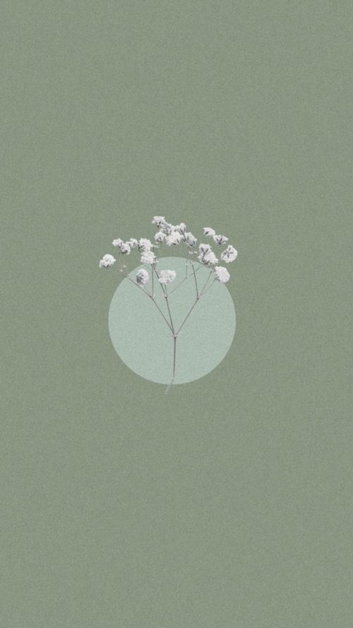 Sage Green Aesthetic Wallpaper