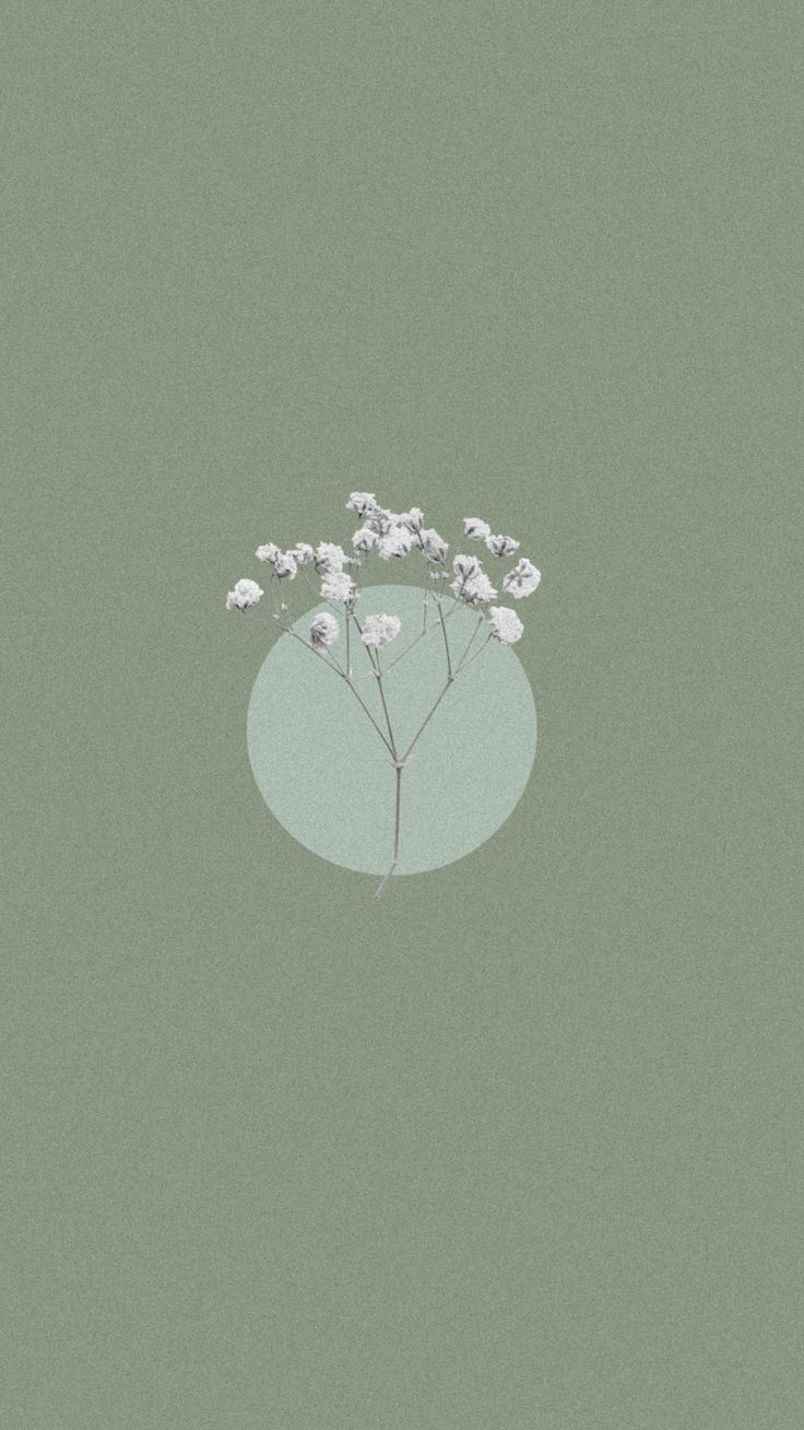 Sage Green Aesthetic Wallpaper