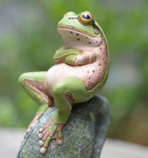 Frog Background Wallpaper