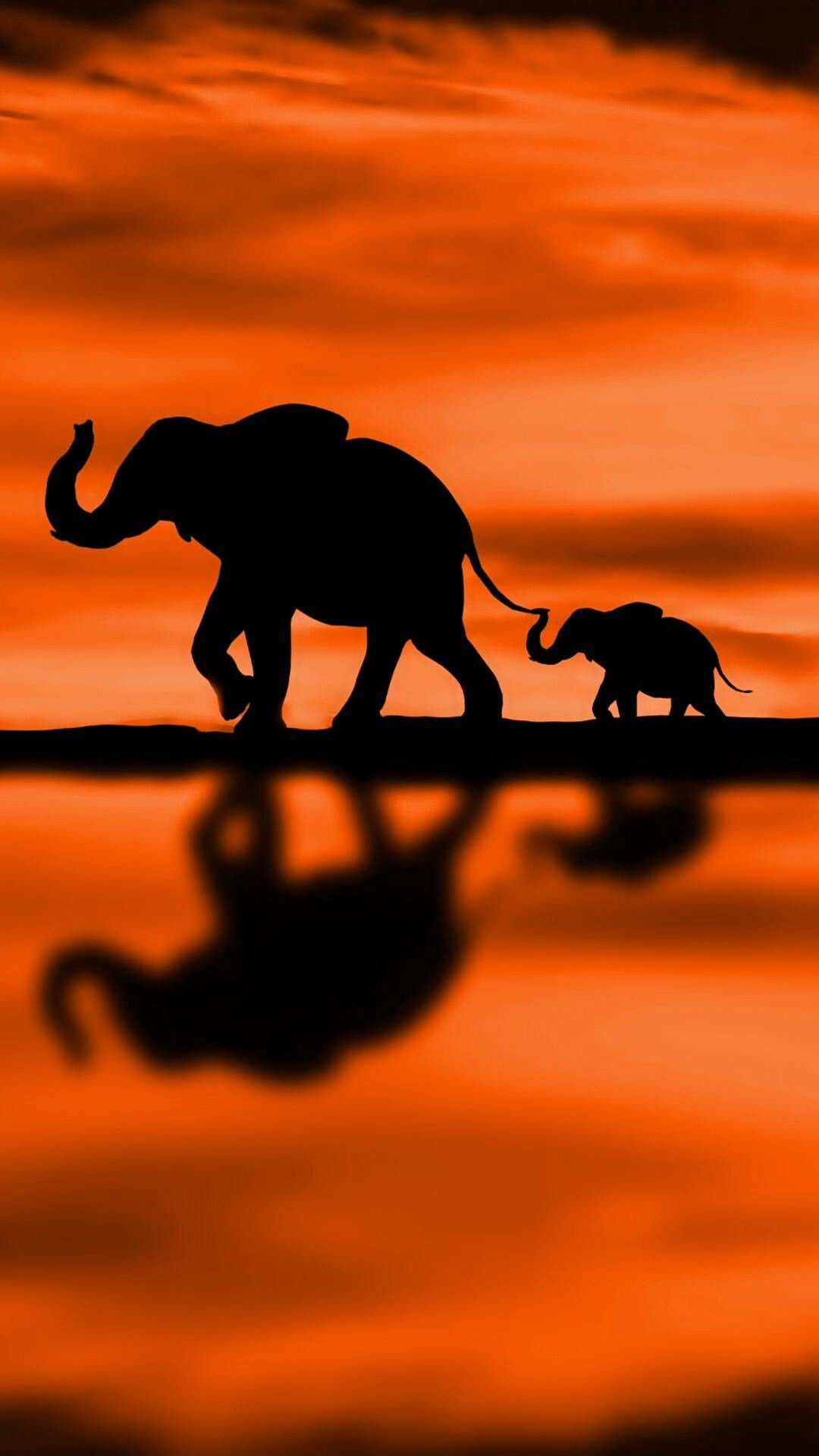 Background Elephant Wallpaper