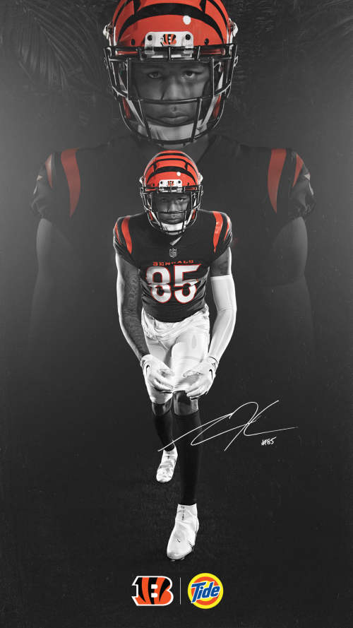 Bengals Wallpaper