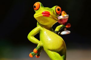 Desktop Frog Wallpaper