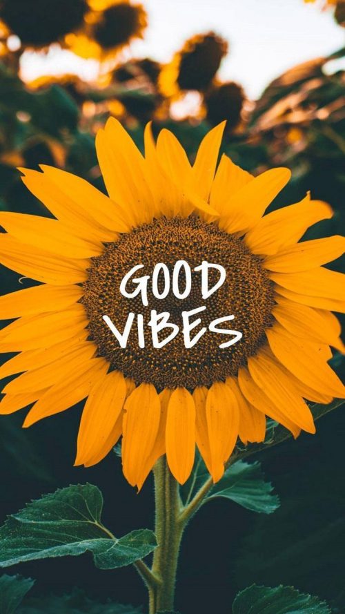 Background Good Vibes Wallpaper