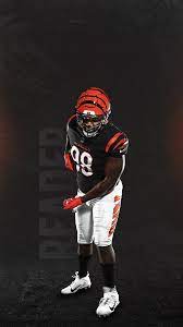 Bengals Wallpaper