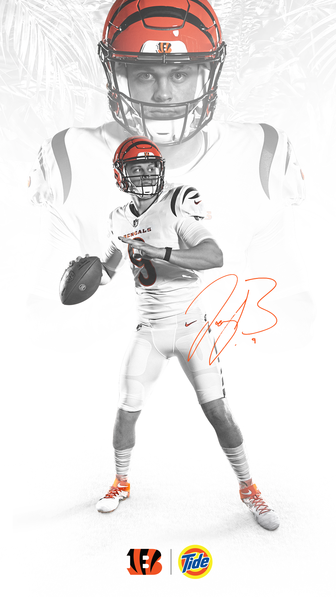 Bengals Wallpaper