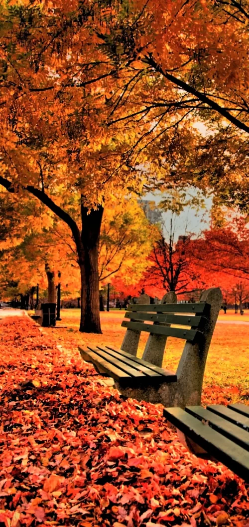 Background Fall Pictures Wallpaper