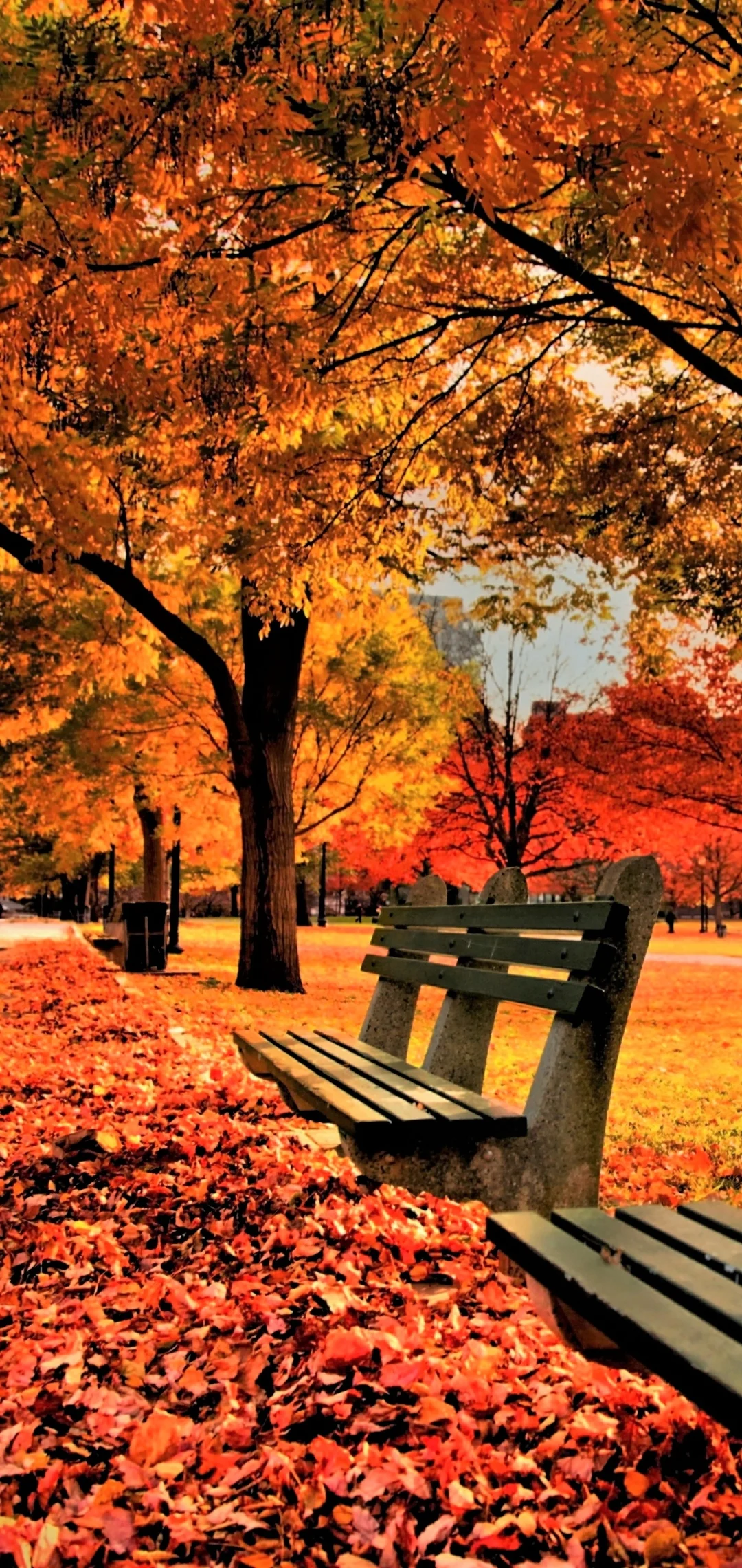 Background Fall Pictures Wallpaper - EnWallpaper