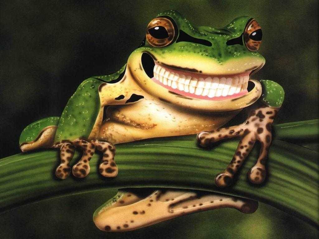 Background Cute Frog Wallpaper