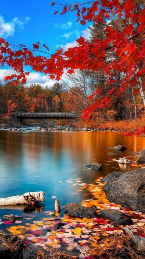 Background Fall Iphone Wallpaper