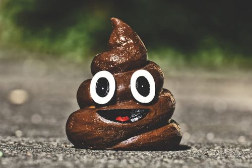 Background Poop Wallpaper