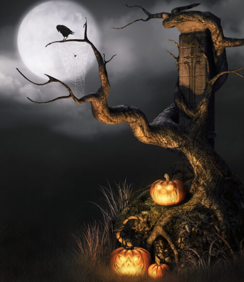 Background Halloween  Wallpaper