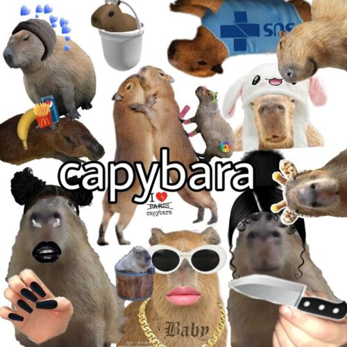 Background Capybara Wallpaper