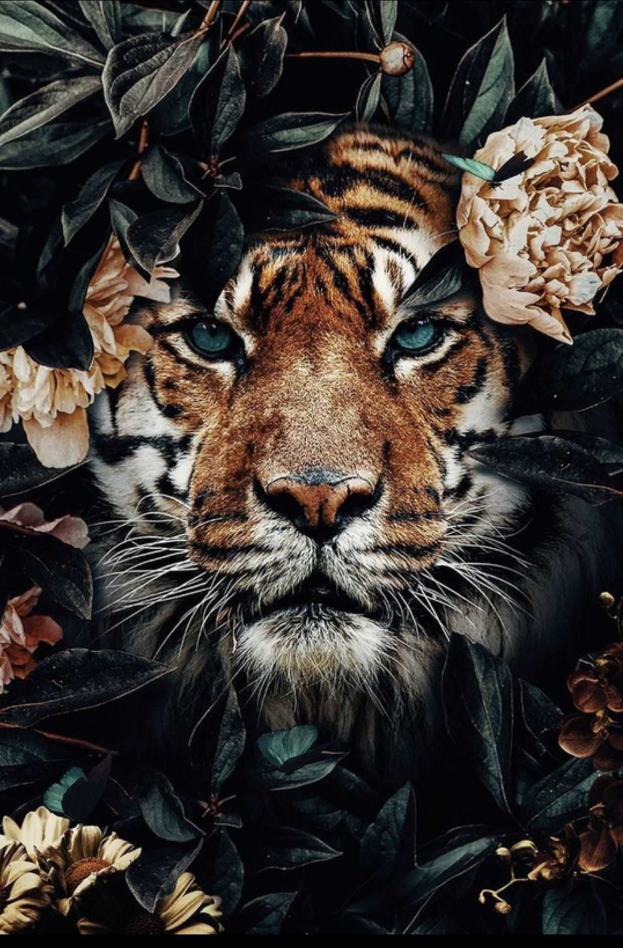 Background Tiger Wallpaper