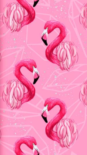 Pink Background Wallpaper