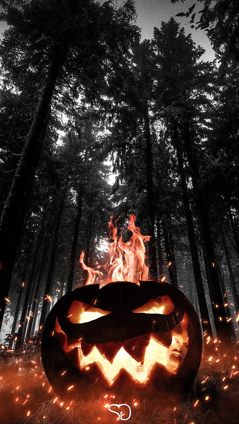 Spooky Season Wallpaper