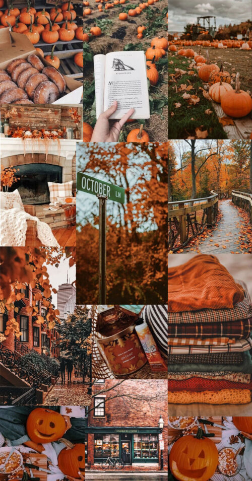 Background Fall Collage Wallpaper