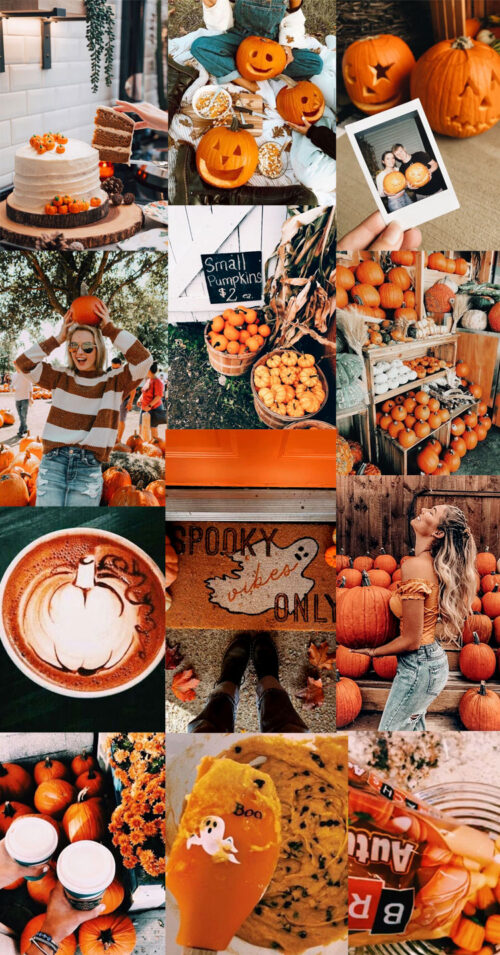 Background Fall Collage Wallpaper - EnWallpaper