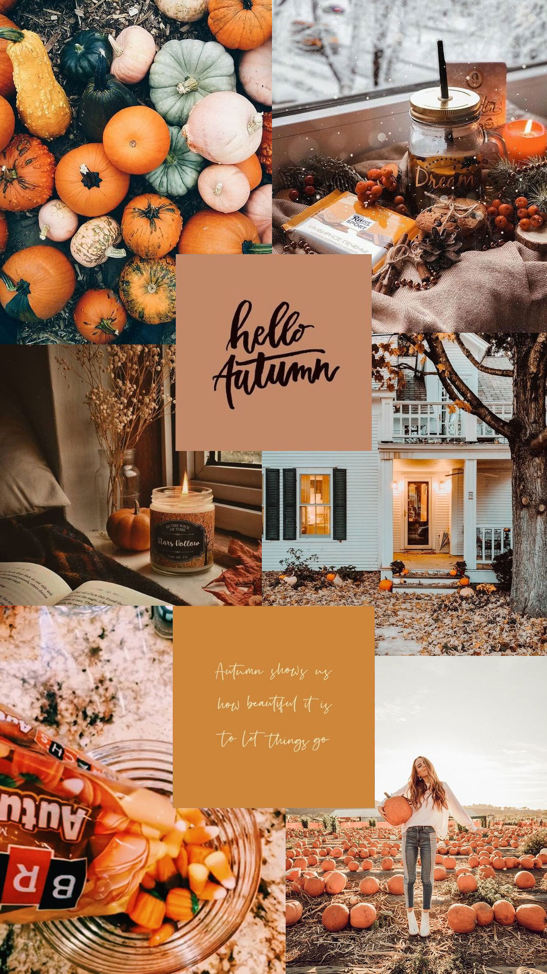 Background Fall Collage Wallpaper