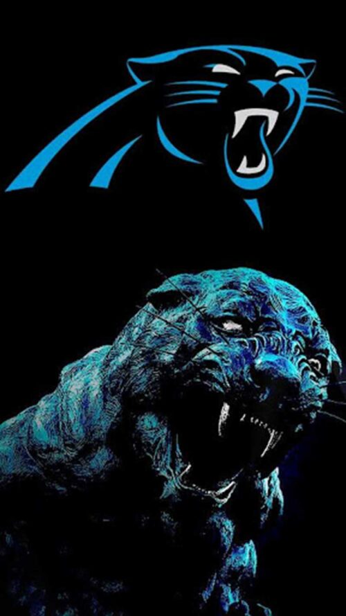 Carolina Panthers Wallpaper