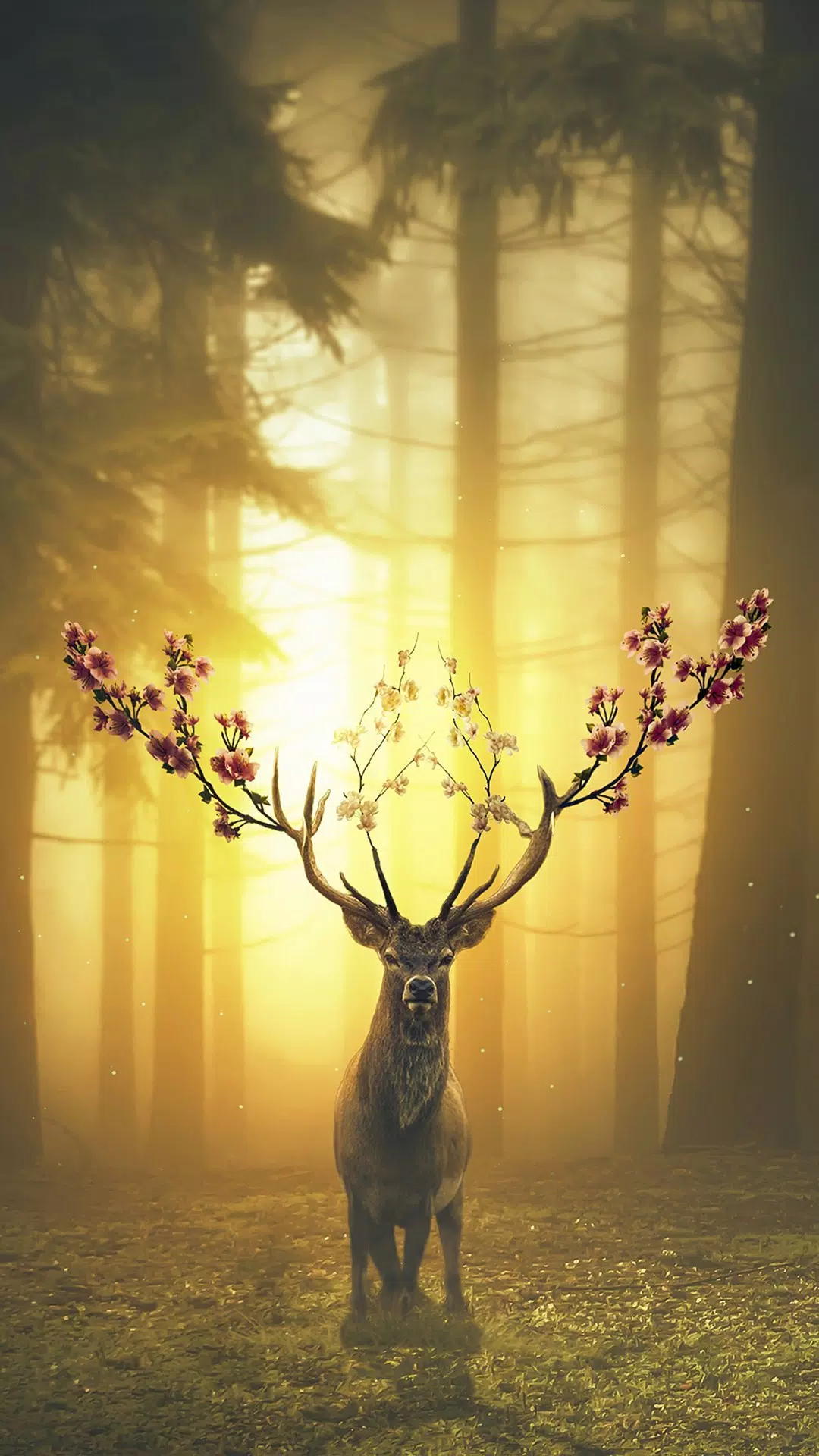 Background Deer Wallpaper